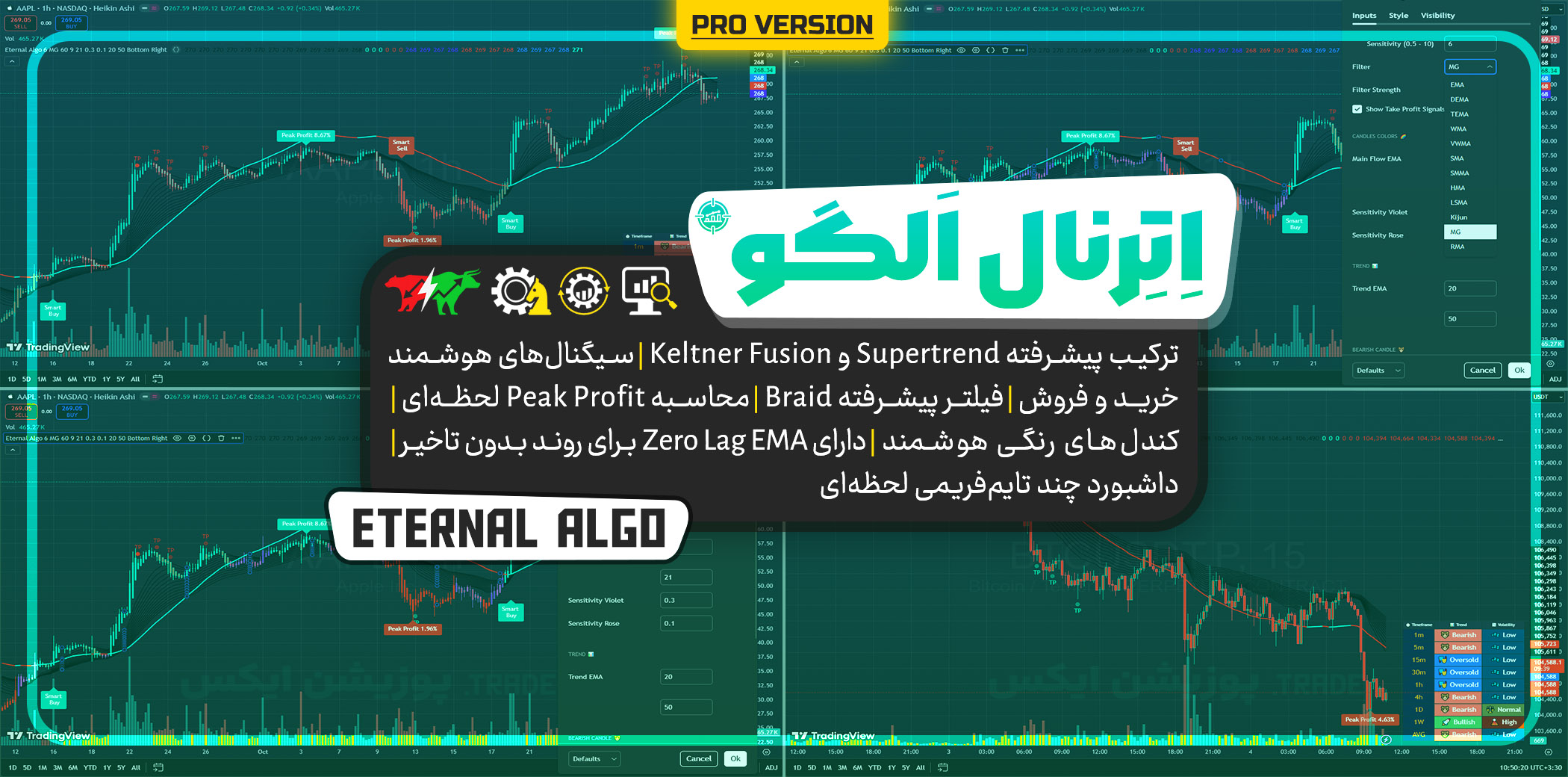 اندیکاتور Eternal Algo Pro: اندیکاتور سود ساز Braid Filter